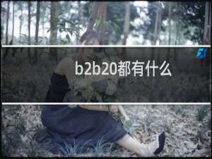 b2b 都有什么