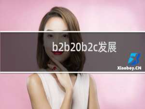 b2b b2c发展