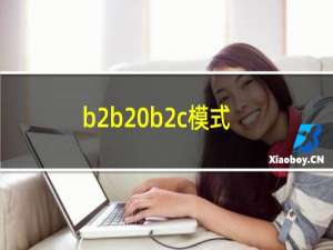 b2b b2c模式