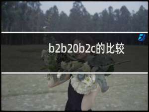 b2b b2c的比较
