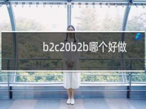 b2c b2b哪个好做