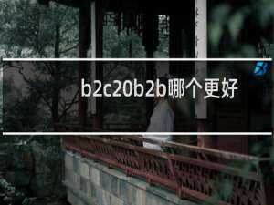 b2c b2b哪个更好
