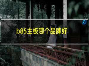 b85主板哪个品牌好