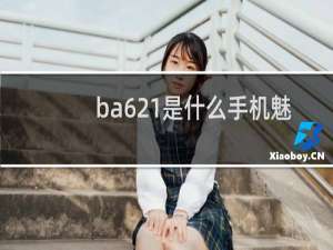 ba621是什么手机魅族