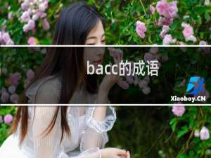 bacc的成语