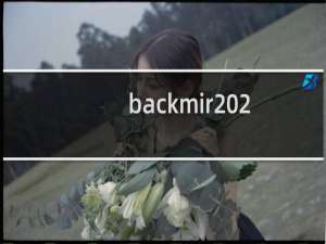 backmir 2.09.35攻略