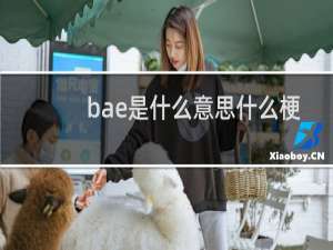 bae是什么意思什么梗