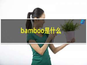 bamboo是什么