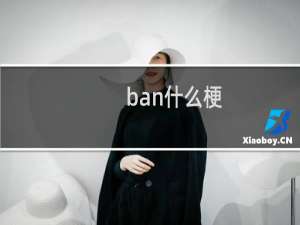 ban什么梗