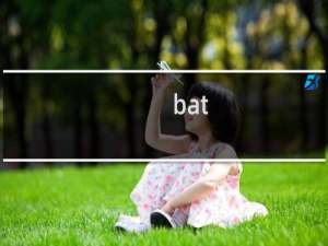 bat