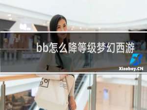 bb怎么降等级梦幻西游