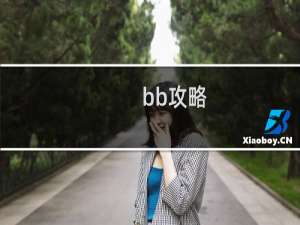 bb攻略