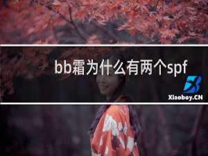 bb霜为什么有两个spf