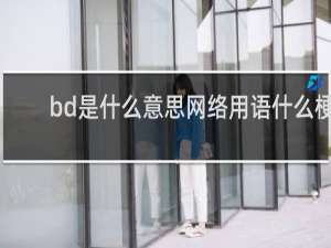 bd是什么意思网络用语什么梗