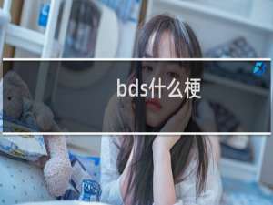 bds什么梗