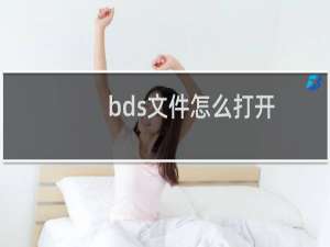 bds文件怎么打开