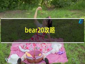 bear 攻略