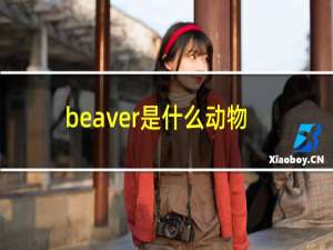 beaver是什么动物