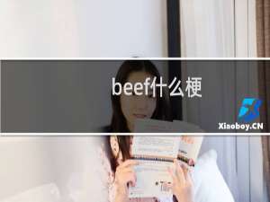 beef什么梗