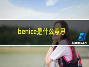 benice是什么意思英语