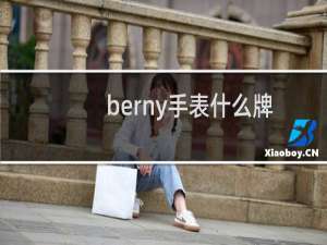 berny手表什么牌子（berny手表什么牌子的）