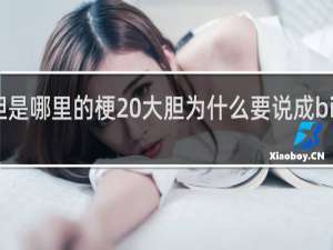 big胆是哪里的梗 大胆为什么要说成big胆什么梗