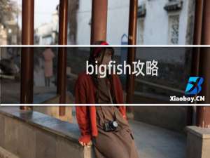 bigfish攻略