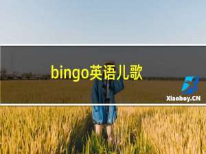 bingo英语儿歌