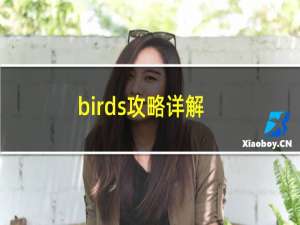 birds攻略详解