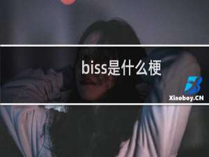 biss是什么梗