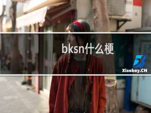 bksn什么梗