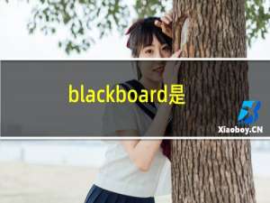 blackboard是什么意思英语