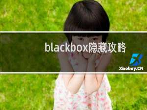 blackbox隐藏攻略