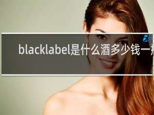 blacklabel是什么酒多少钱一瓶