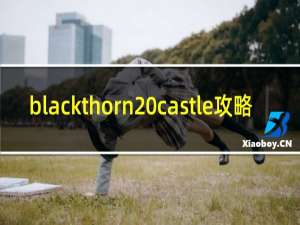 blackthorn castle攻略