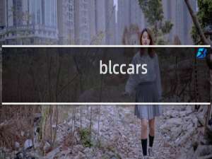blccars.com    这个域名转入需要多久