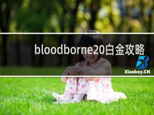 bloodborne 白金攻略
