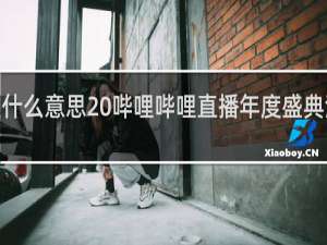 bls是什么意思 哔哩哔哩直播年度盛典活动什么梗