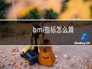 bmi指标怎么算