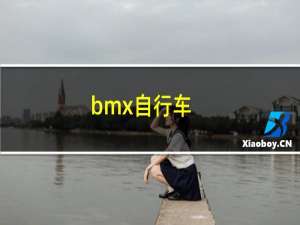 bmx自行车（bmx）