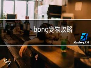 bong宠物攻略