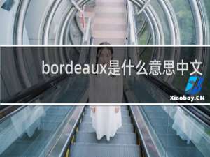 bordeaux是什么意思中文