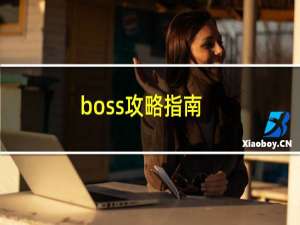 boss攻略指南