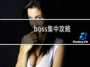 boss集中攻略