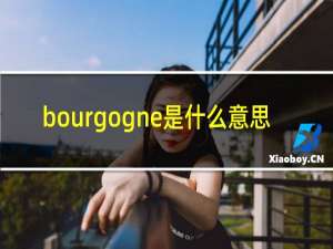 bourgogne是什么意思