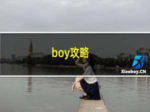 boy攻略