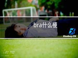 bra什么梗
