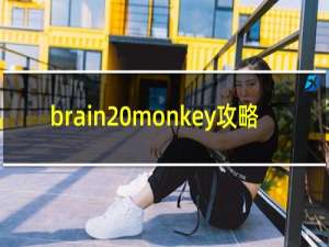 brain monkey攻略