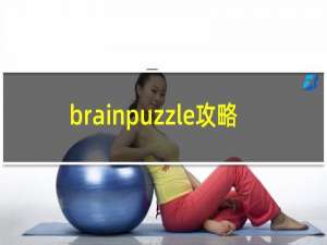 brainpuzzle攻略