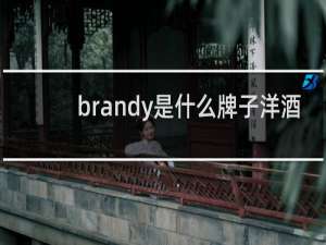 brandy是什么牌子洋酒